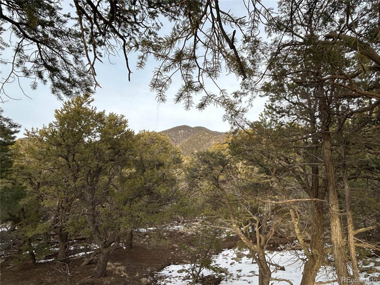 3593-3594 Splendid Way - Photo 1