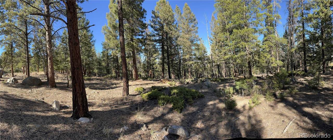  Aspen Turn - Photo 1