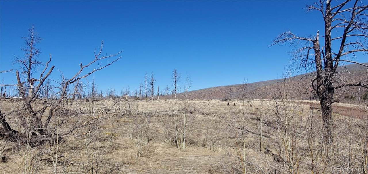 Lot 1566 Cary Lane - Photo 1