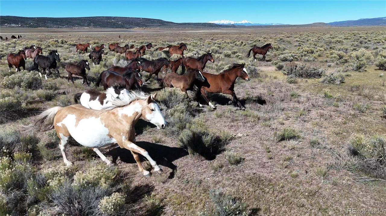 444 W Valley Dr - Photo 1