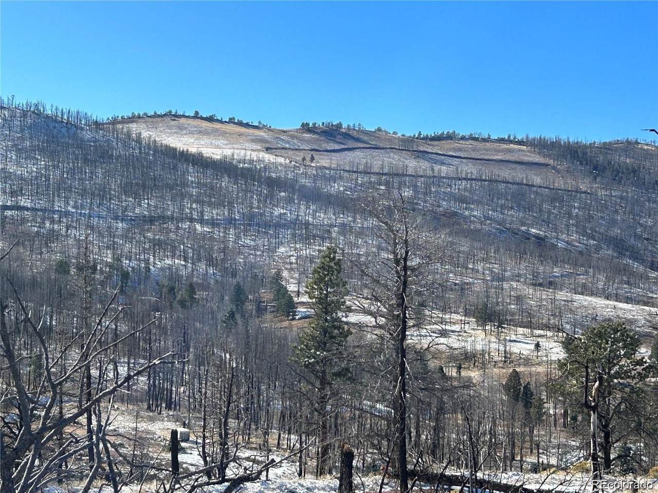 Lot 1039 Forbes Park Ranch - Photo 1