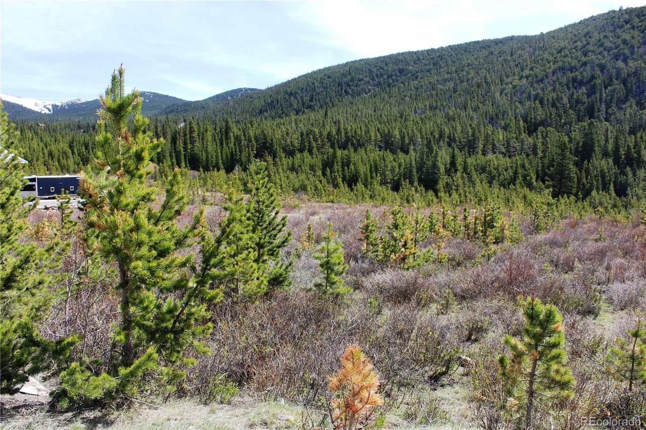Lot 33,34 Silver Creek Road - Photo 1