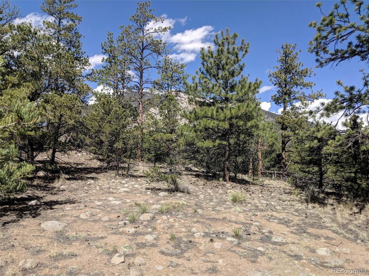 21170 Skyline Drive - Photo 1