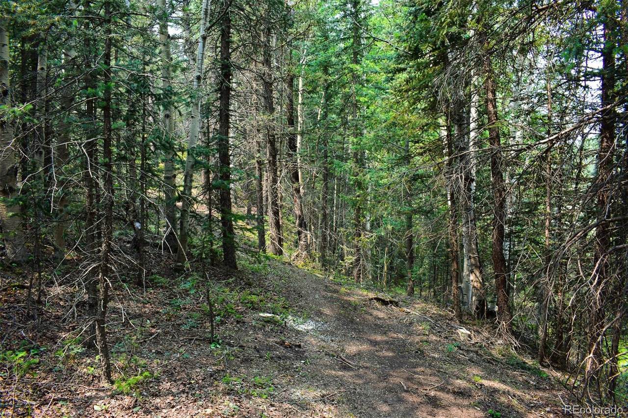 370 Vivenda Road - Photo 1