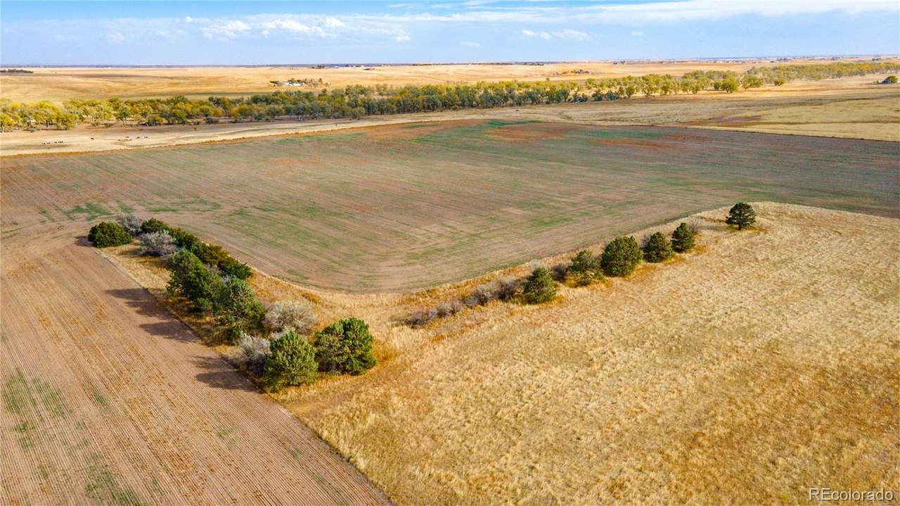000 Highway 79 - Photo 1