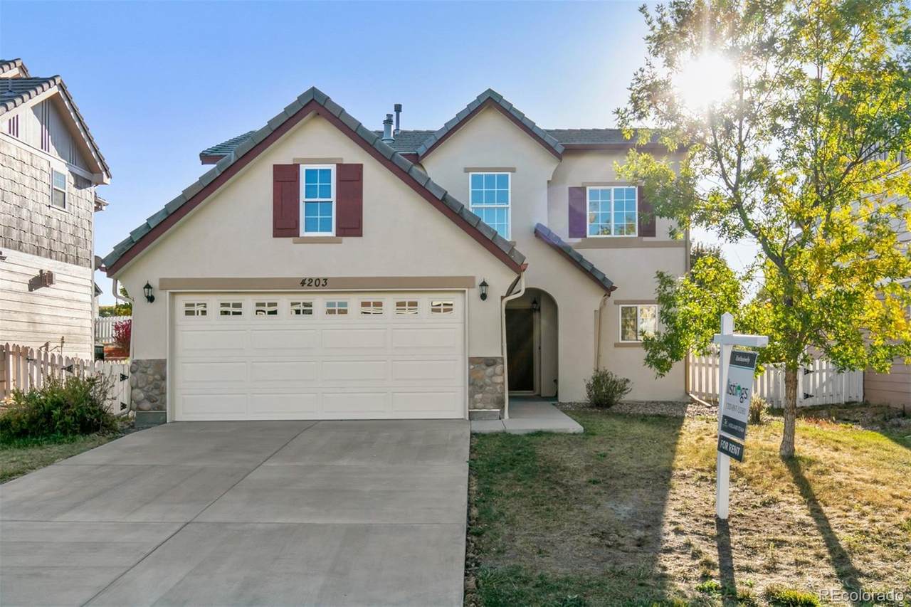 4203 Bountiful Circle - Photo 1