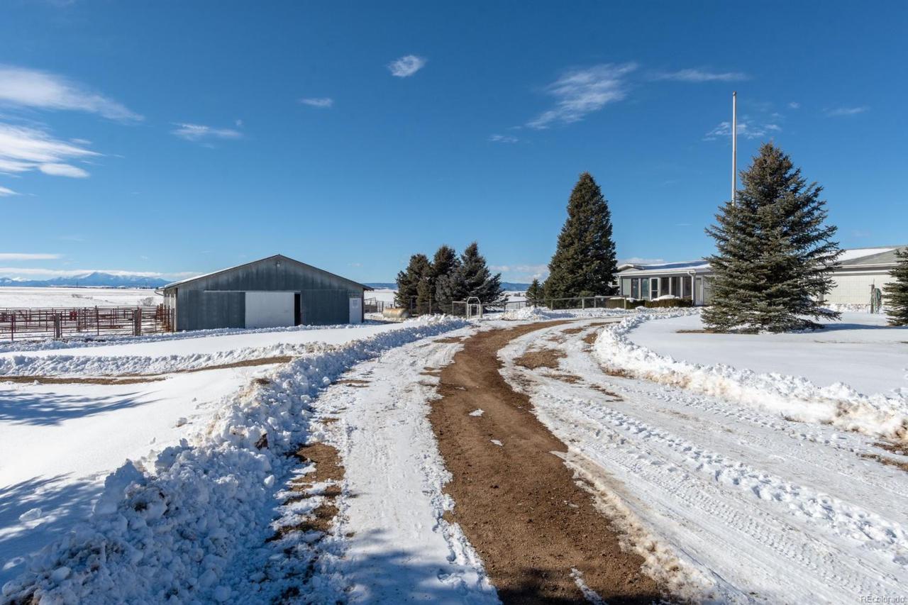 11572 Heidemann Avenue - Photo 1