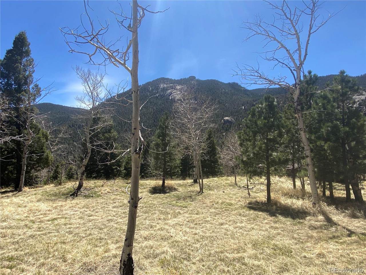 301 Derby Rock Loop - Photo 1