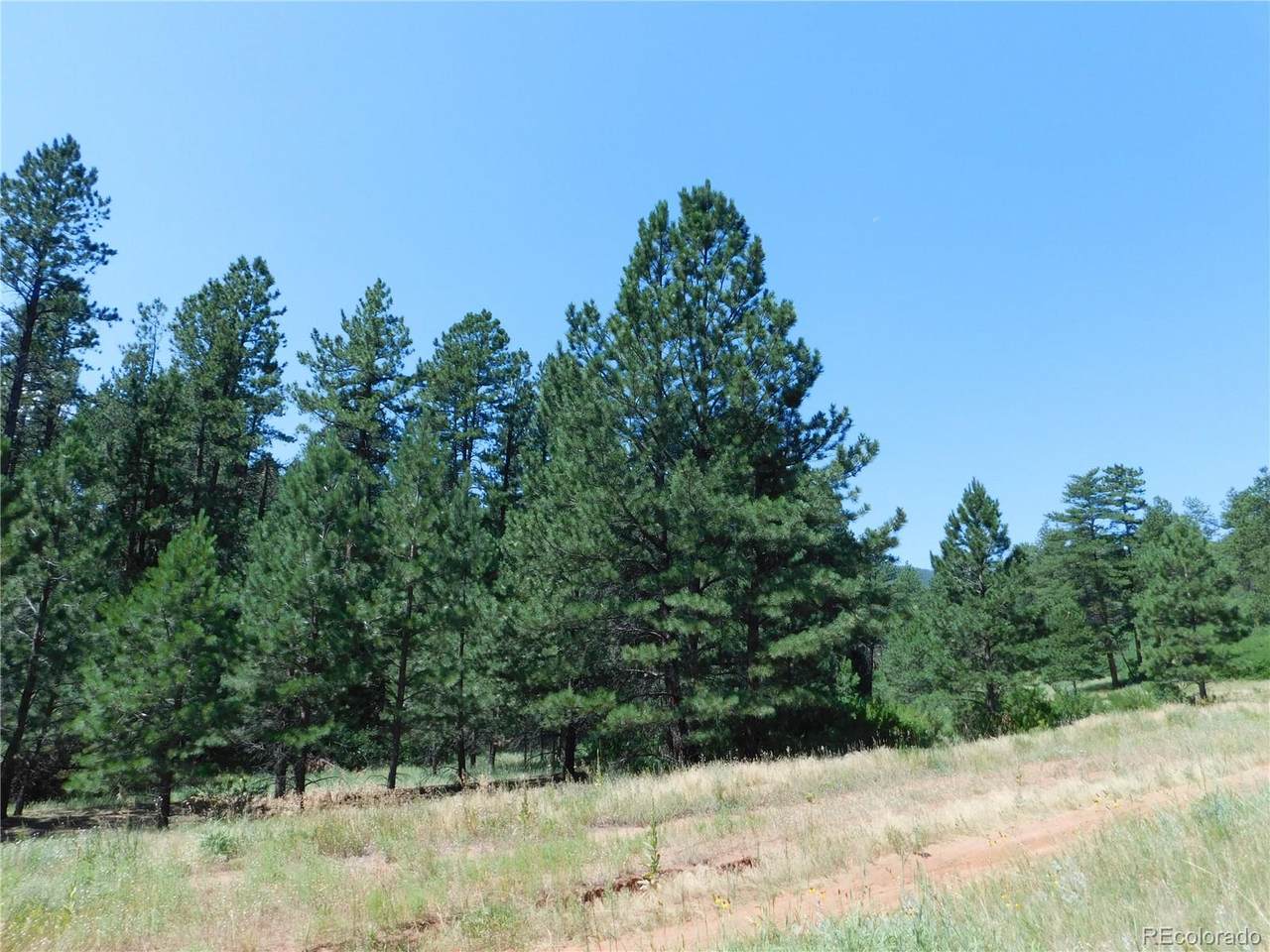 8203 Bannock Drive - Photo 1