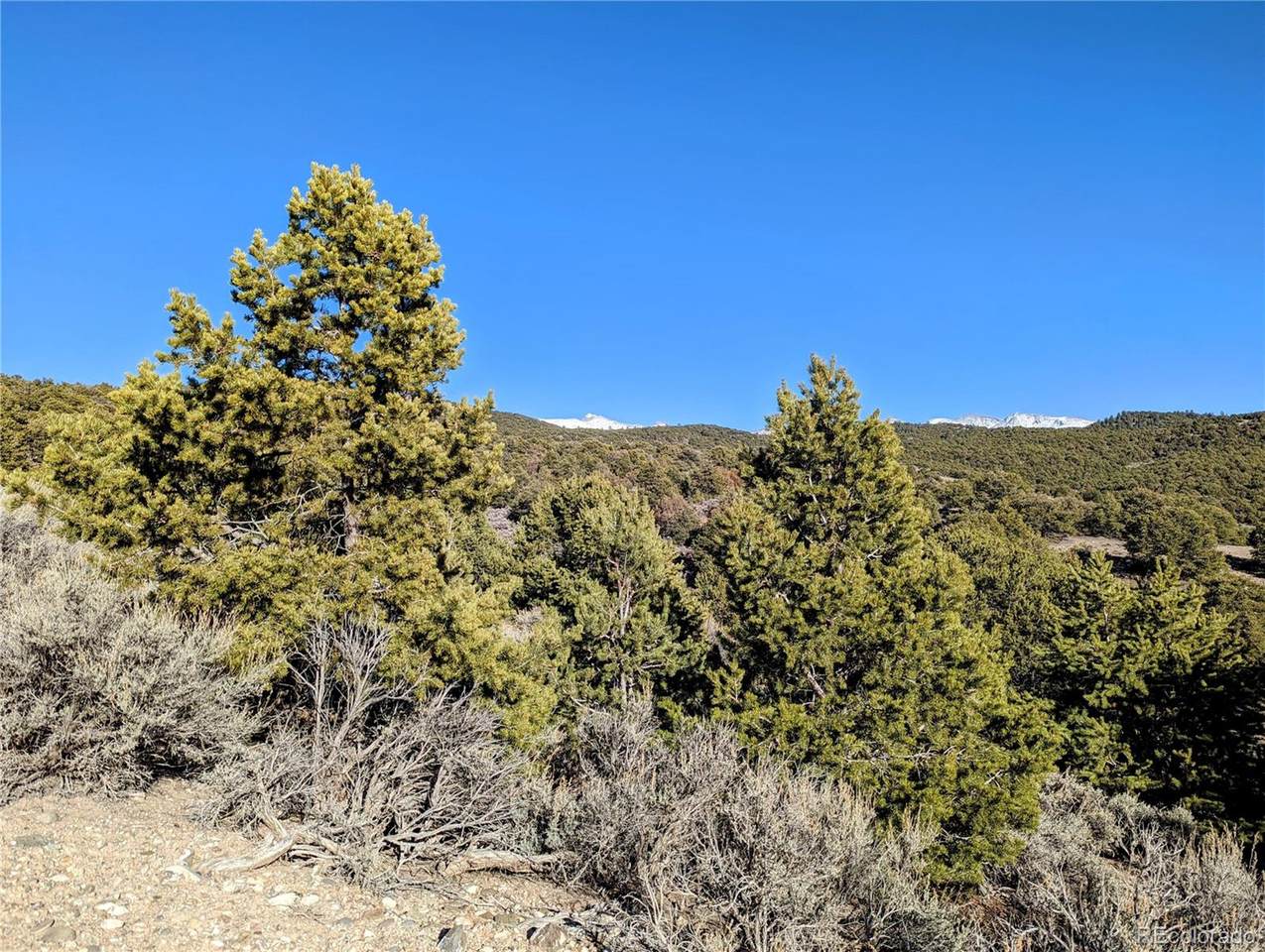 E.R.S. Lot 19 Cont 35.97 - Photo 1