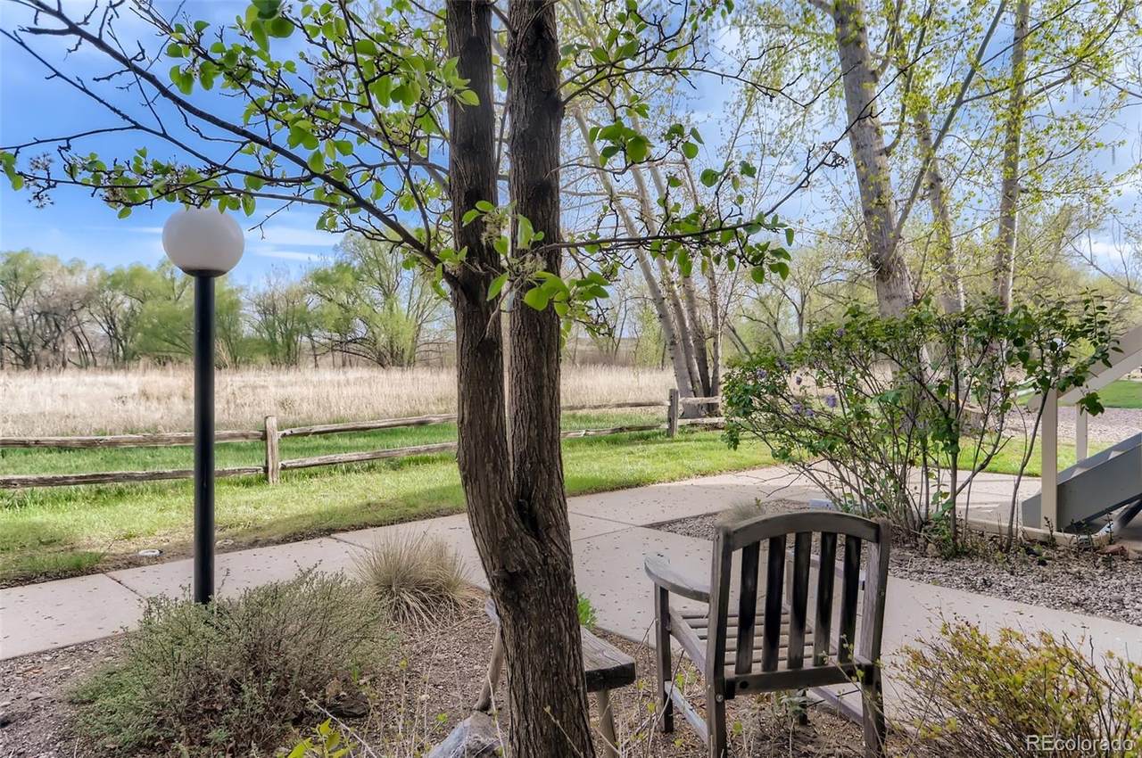 1111 Elysian Field Drive - Photo 1