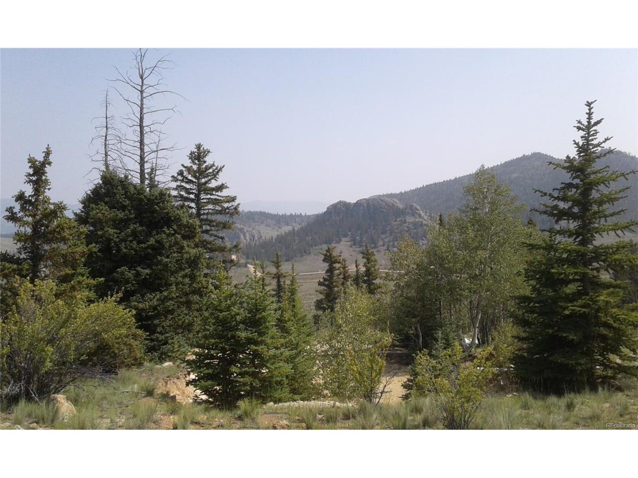 2213 Lippzana Road - Photo 1