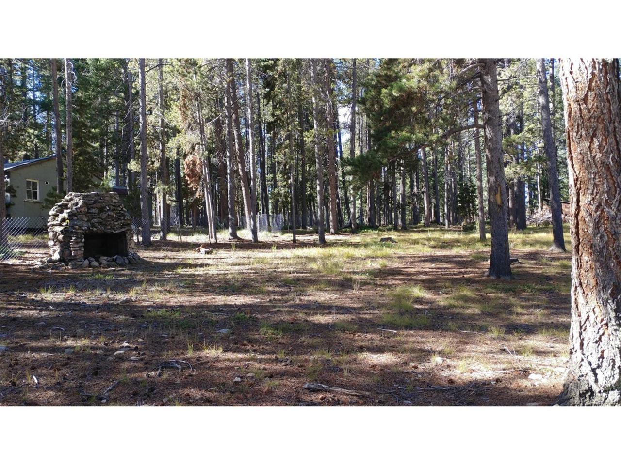 10947 Goodheart Avenue, Conifer, CO 80433 (MLS #2448032) :: 8z Real Estate