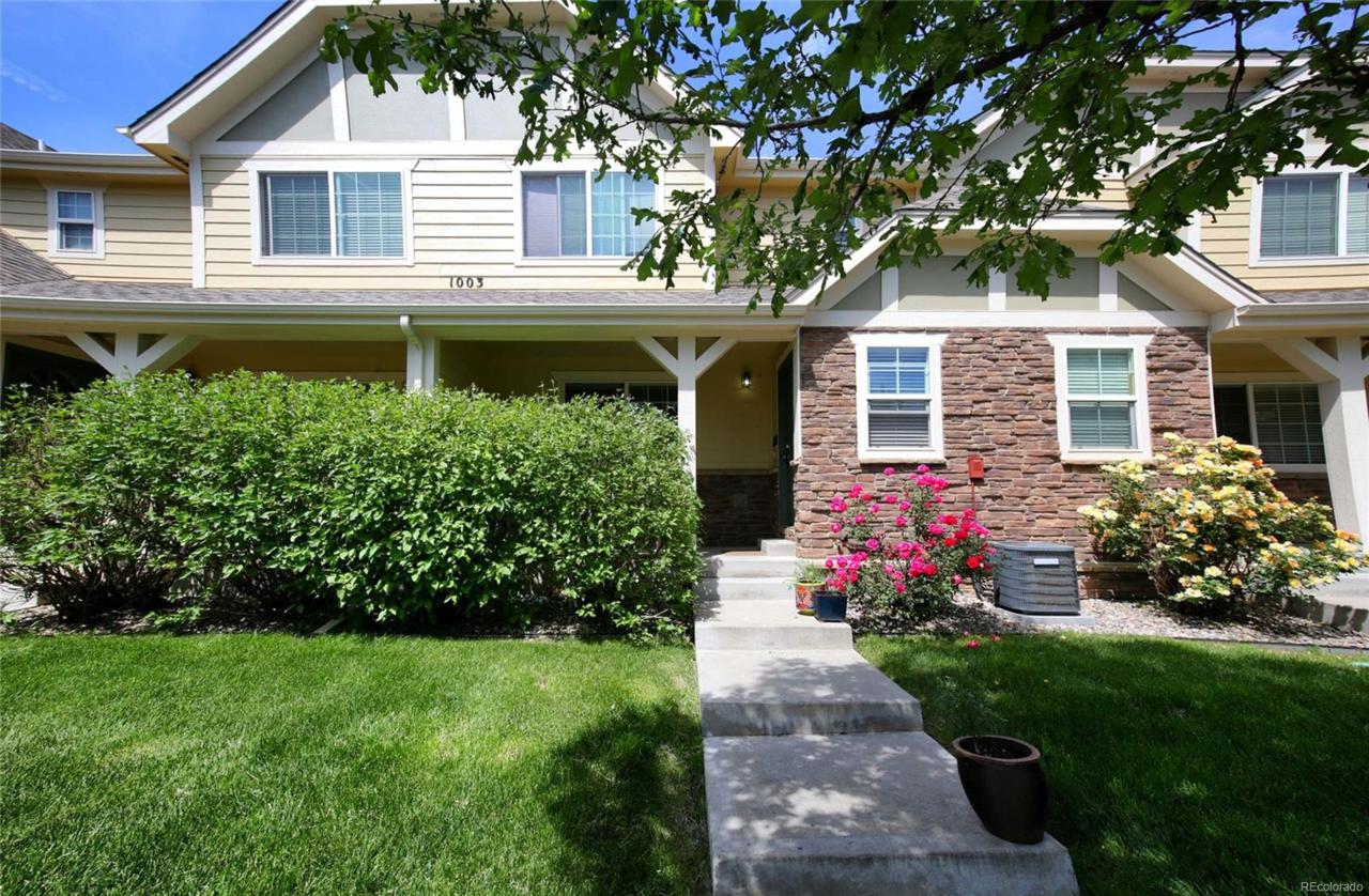 1003 Andrews Peak Drive - Photo 1