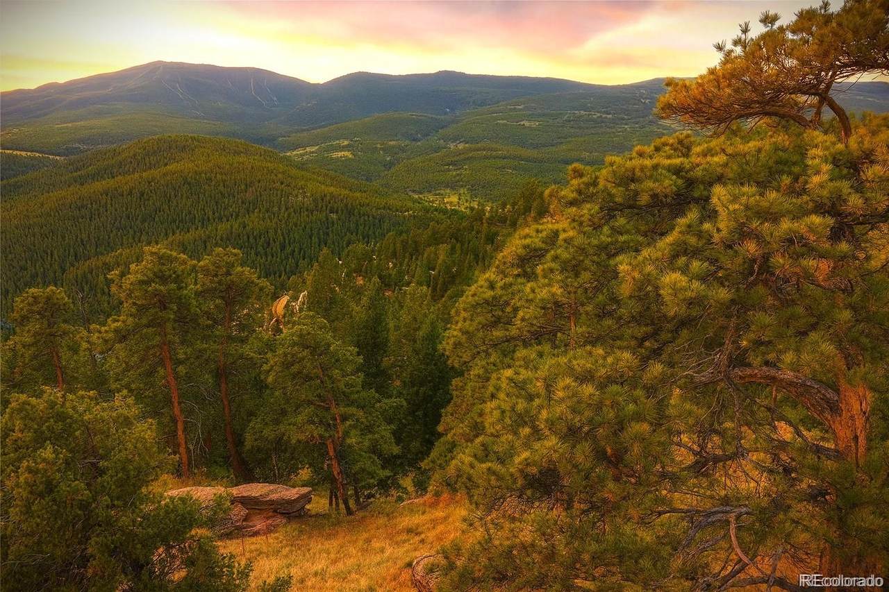 32553 Lodgepole Circle - Photo 1