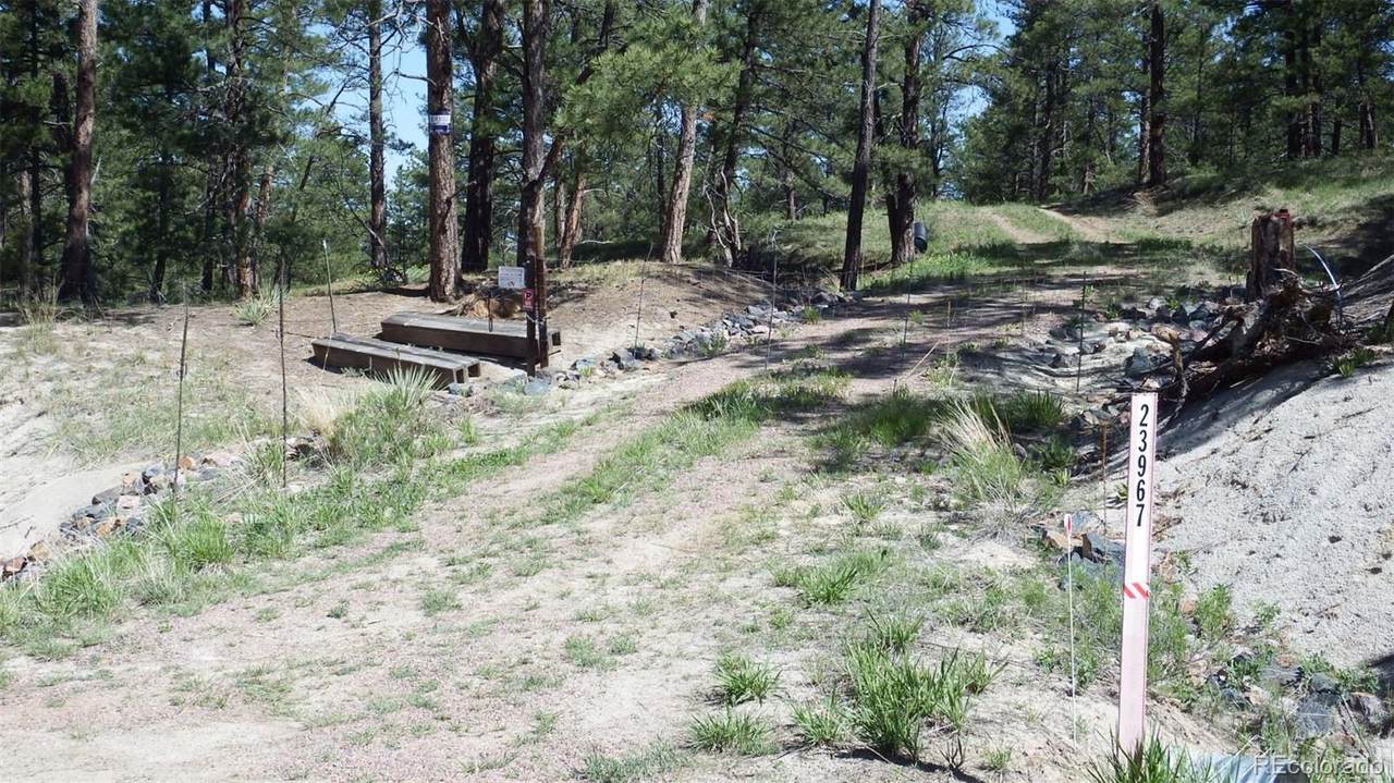 23967 High Timber Lane - Photo 1