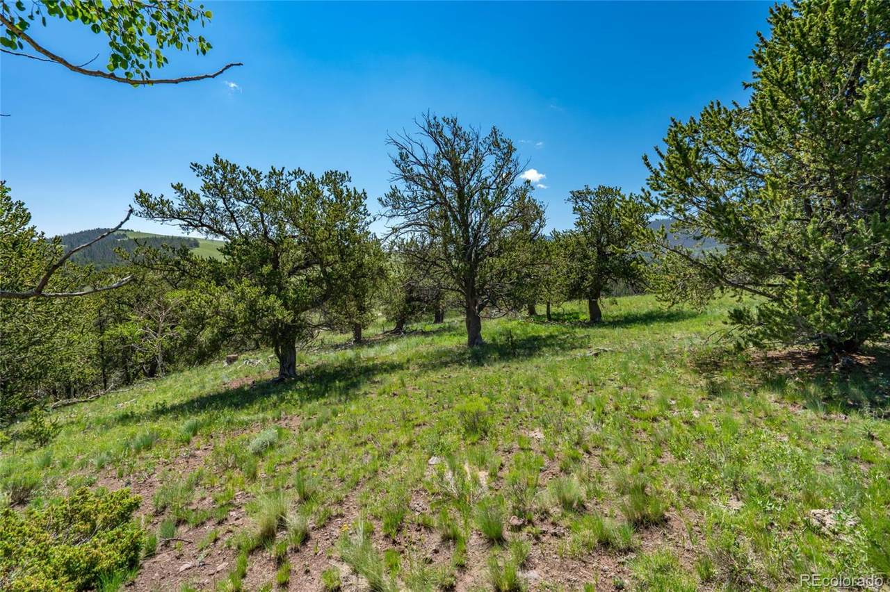 00 Oglala Trail - Photo 1
