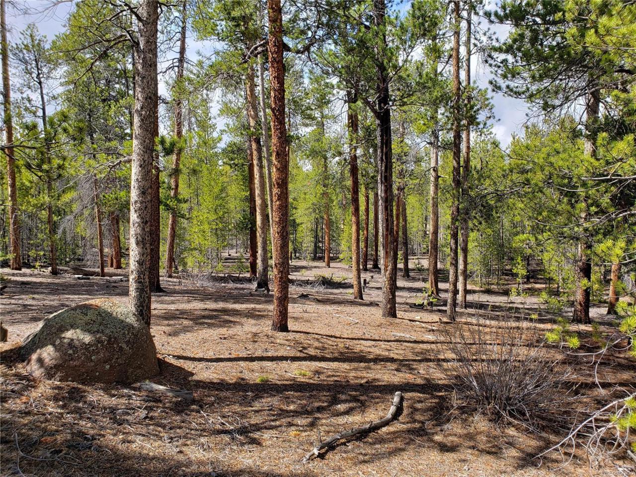 475 Birch Drive - Photo 1
