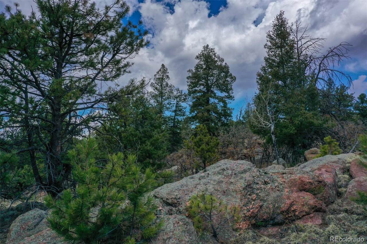 487 Pike View Lane - Photo 1