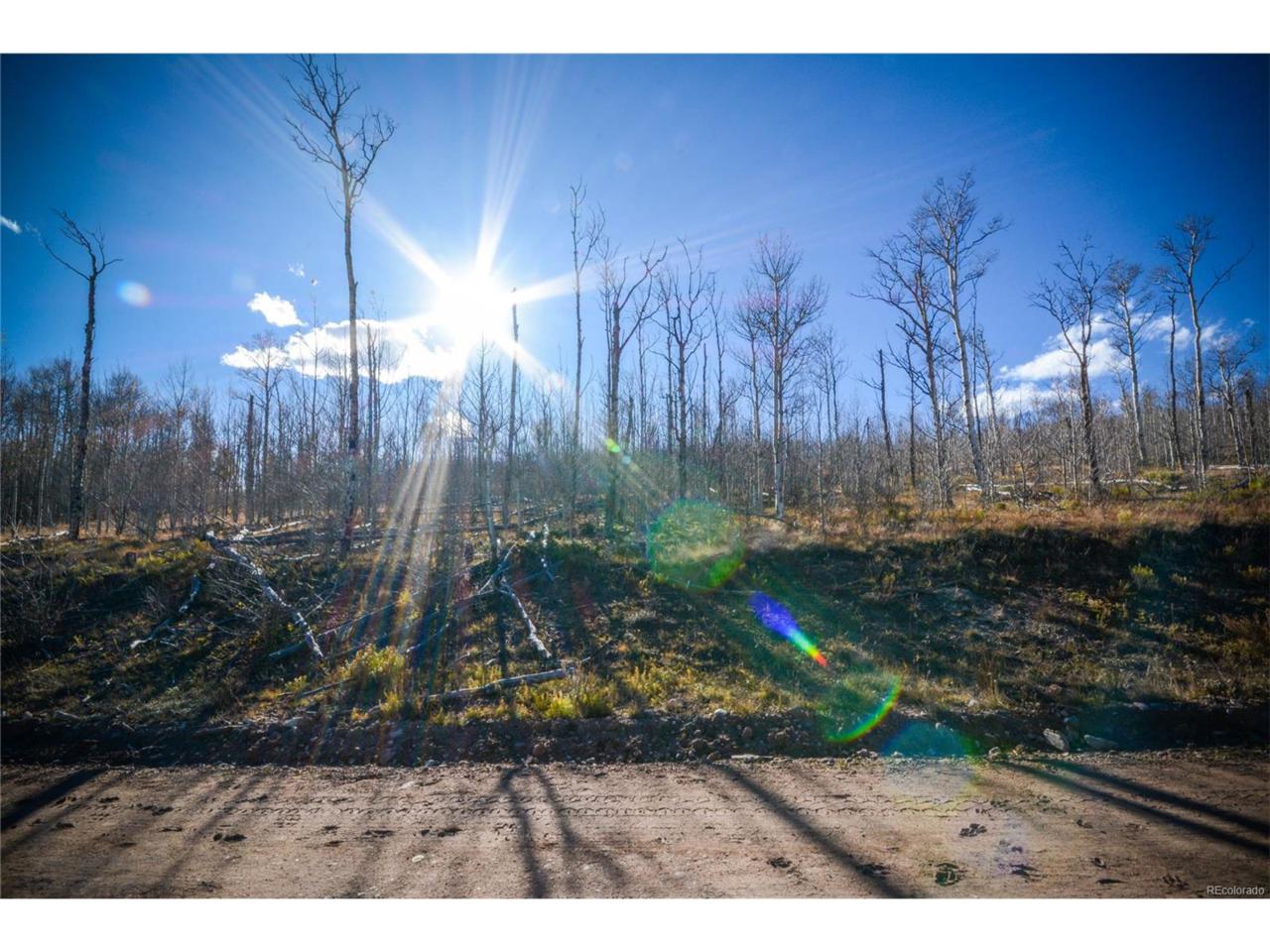 555 Little Baldy Circle - Photo 1
