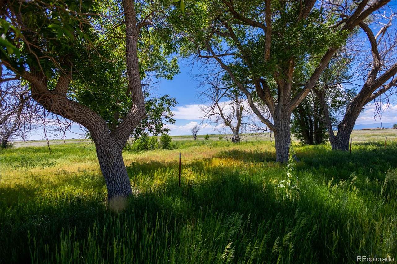 23655 Garrett Road - Photo 1