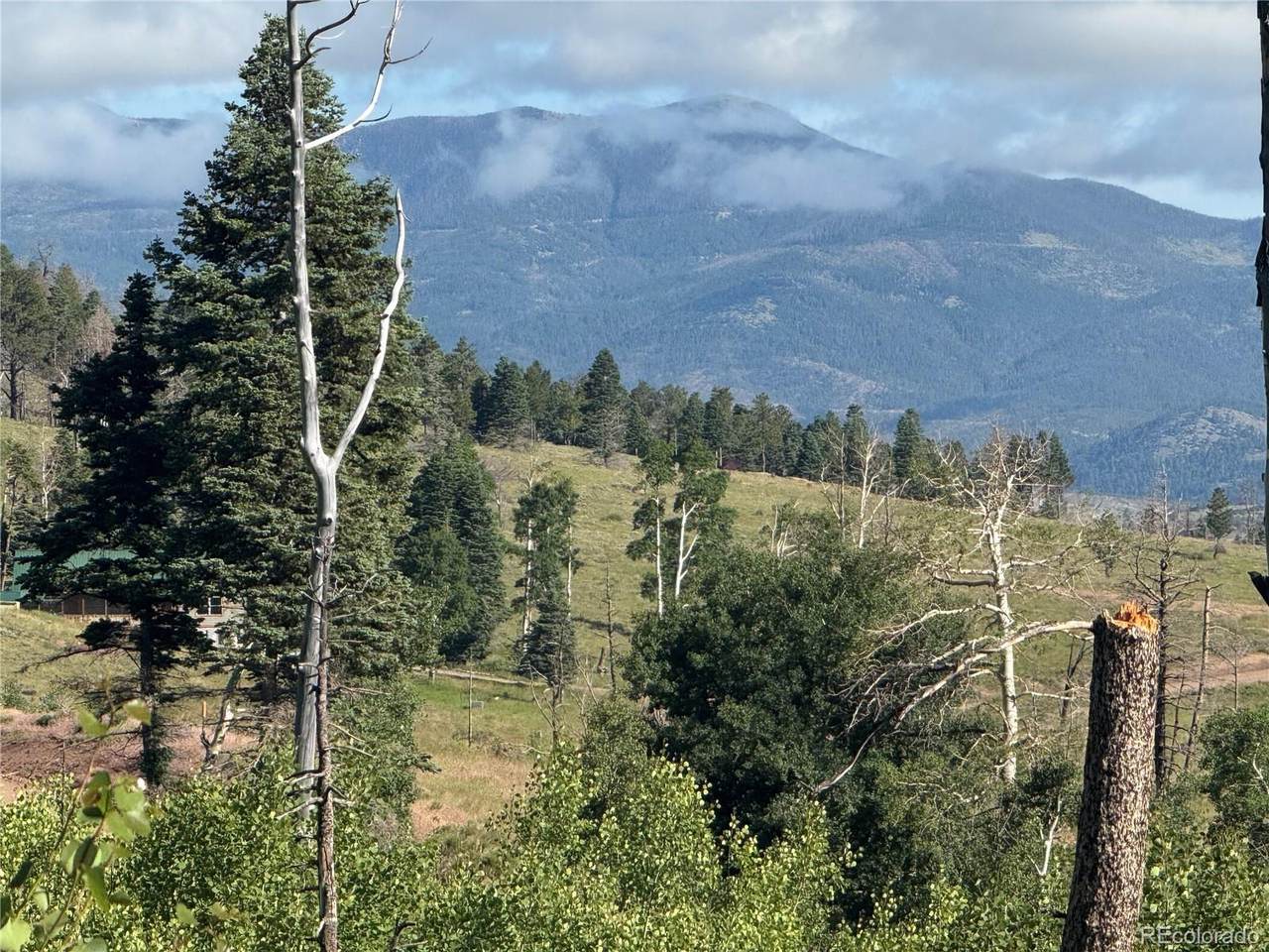 Lot 775 Forbes Park Road - Photo 1