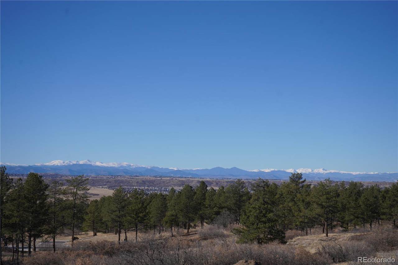 8125 Pine Straw Place - Photo 1