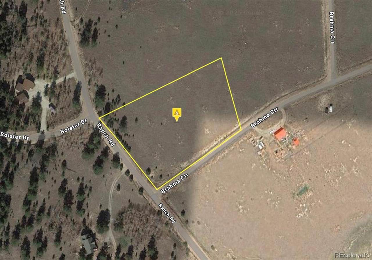 33 Brahma Circle - Photo 1