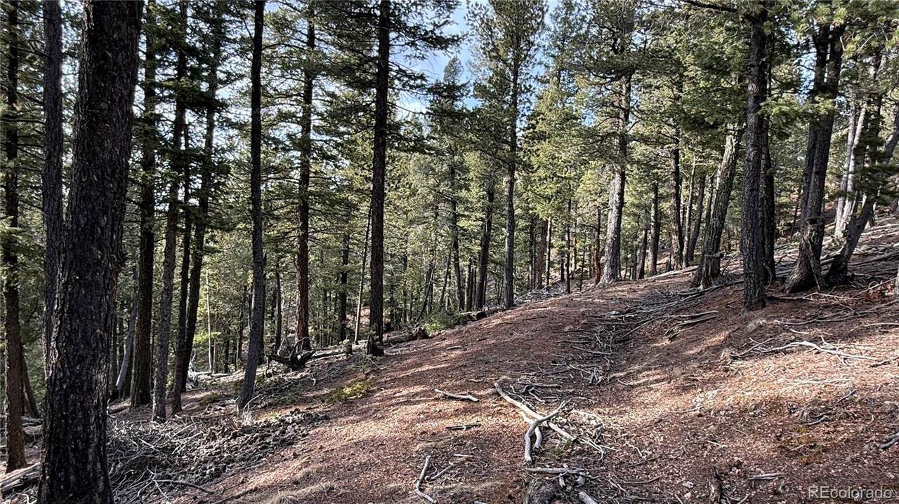 461 Paradiso Road - Photo 1