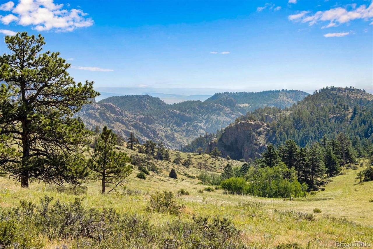 0 Red Feather Lakes Rd Lot 4 - Photo 1