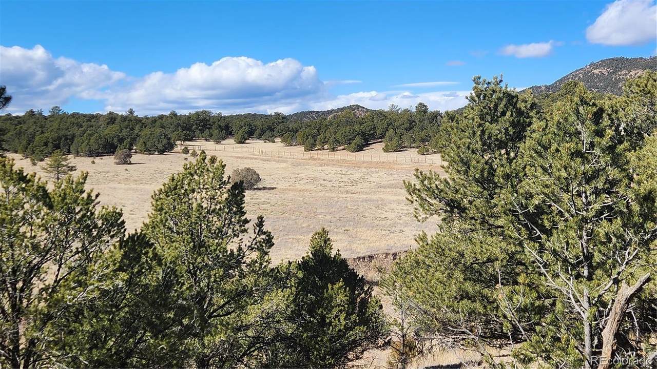311 Kit Carson Trail - Photo 1