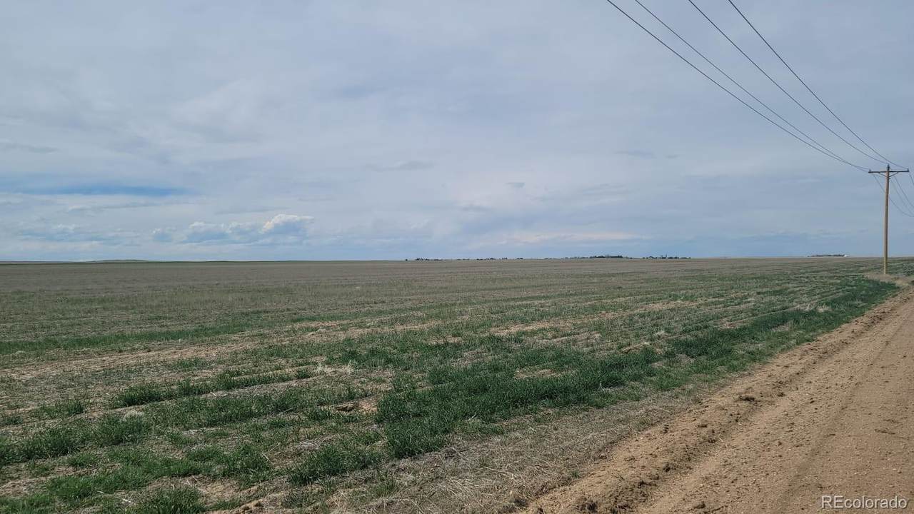 County Road 197 Lot 5 - Photo 1