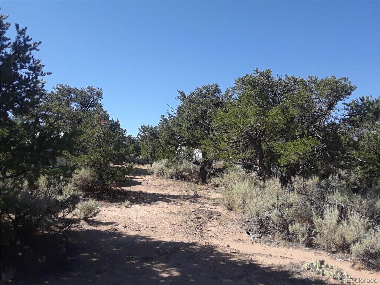 000 Kelly Road - Photo 1