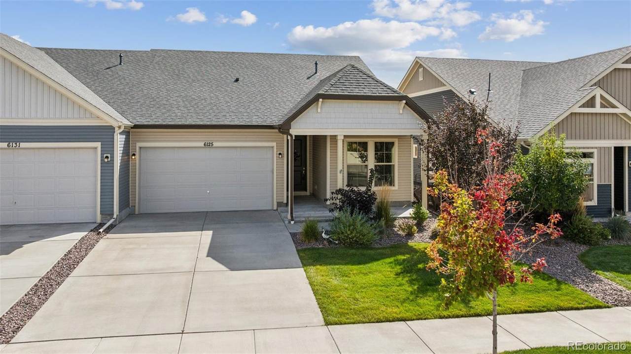 6125 Armdale Heights - Photo 1