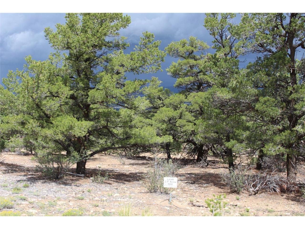 5692 Pinon Ridge Trail, Salida, CO 81201 (MLS #2888841) :: 8z Real Estate
