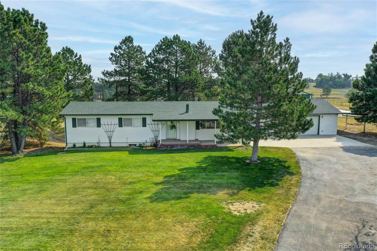 10528 Black Forest Drive - Photo 1