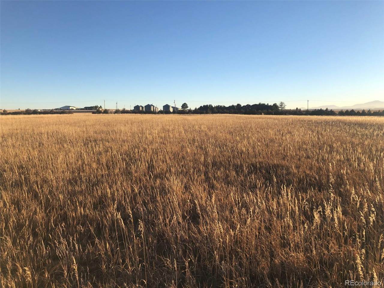 Russellville Road - Photo 1