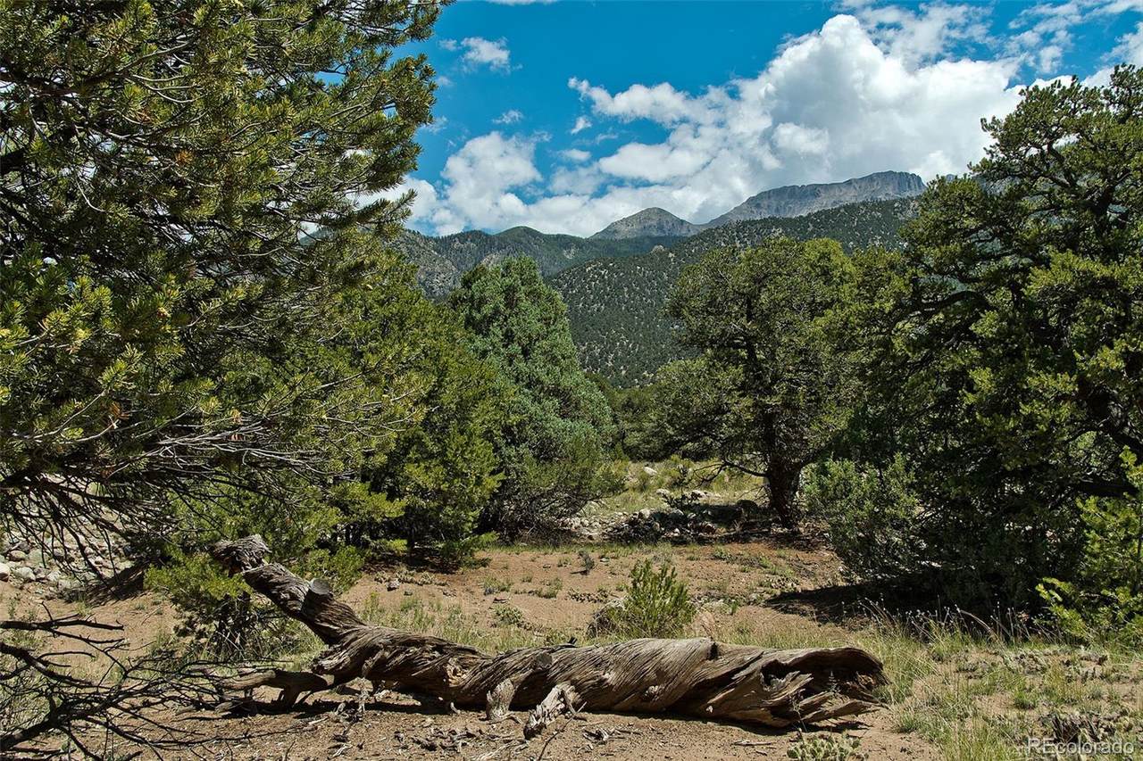 3514 Forest Trail Ol - Photo 1