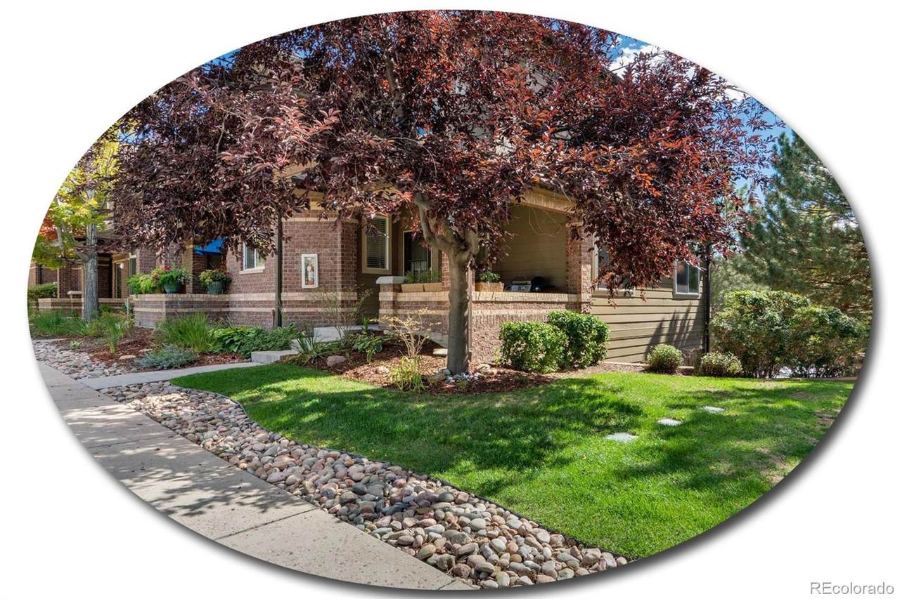 6484 Silver Mesa Drive - Photo 1