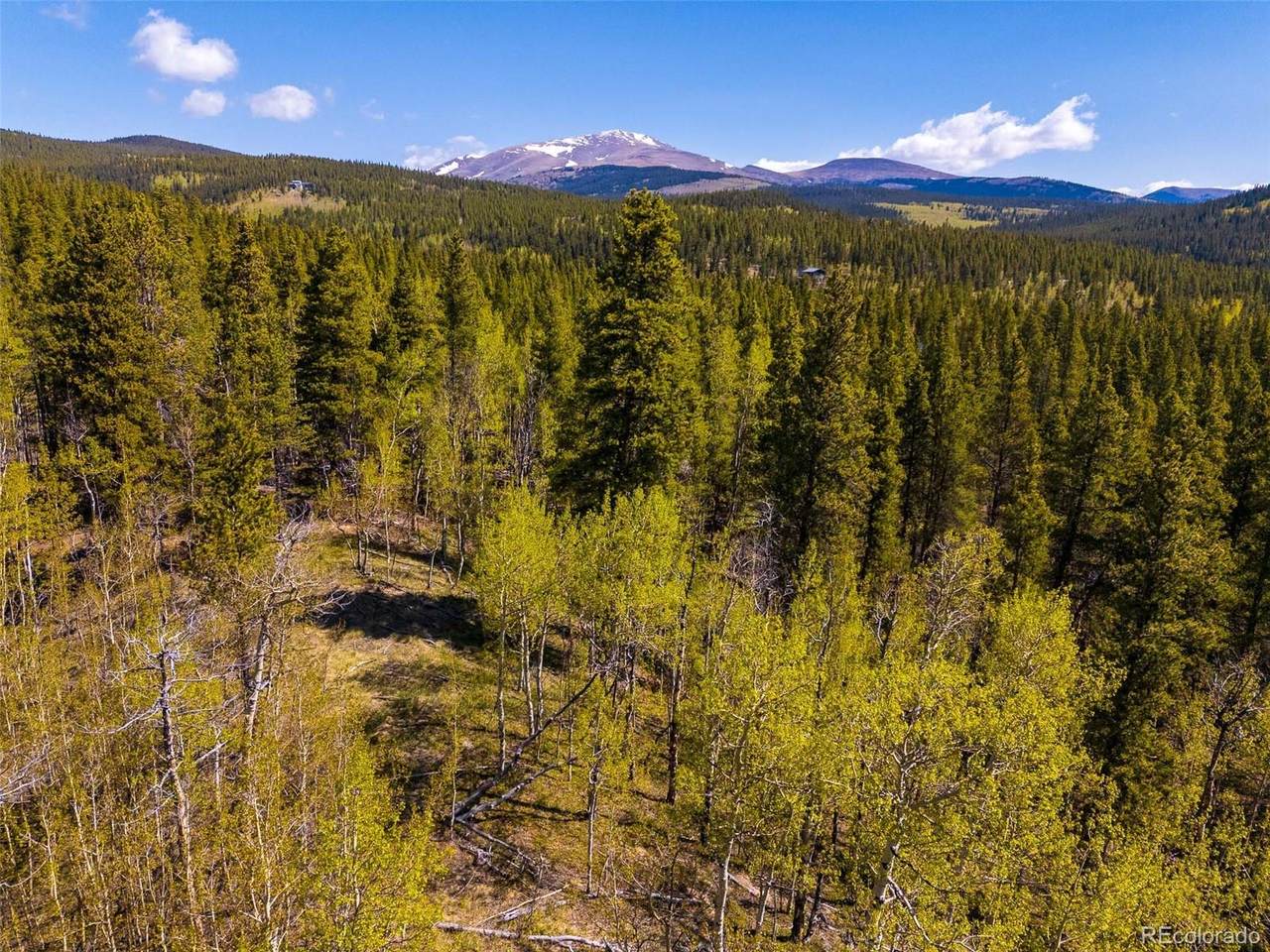 89 Ski Doo Road - Photo 1