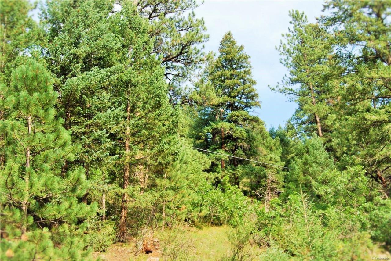 Deer Creek Canyon Road - Photo 1