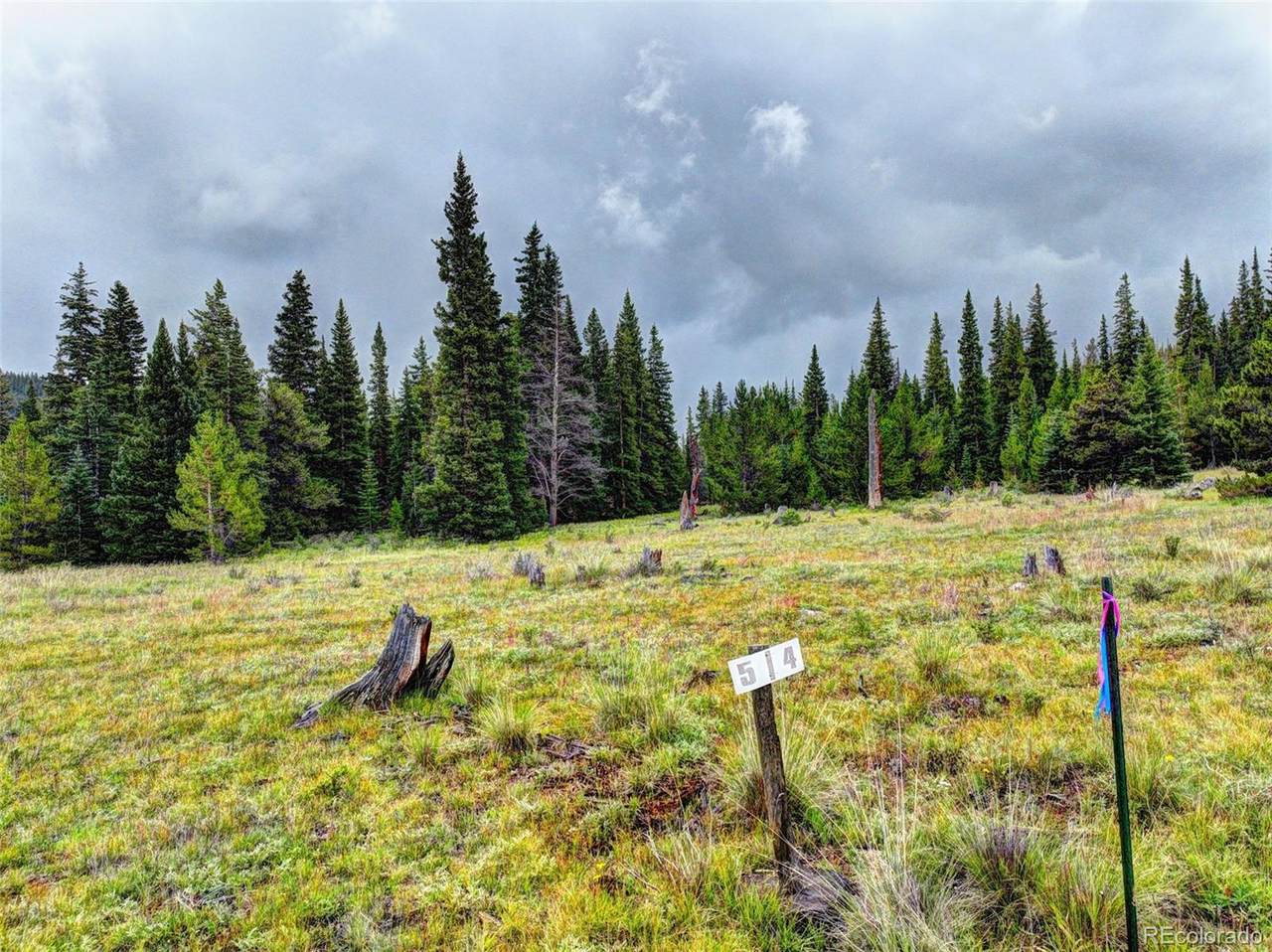 Lot 4 Snow Cap Peaks Road - Photo 1