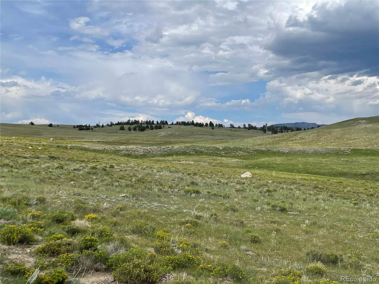 1584 Ute Trace - Photo 1