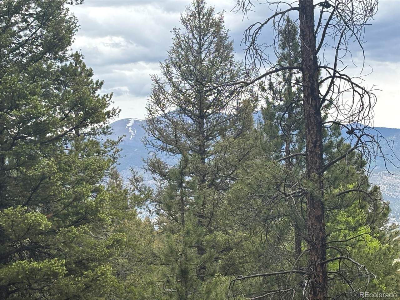 30304 Aspen Turn - Photo 1