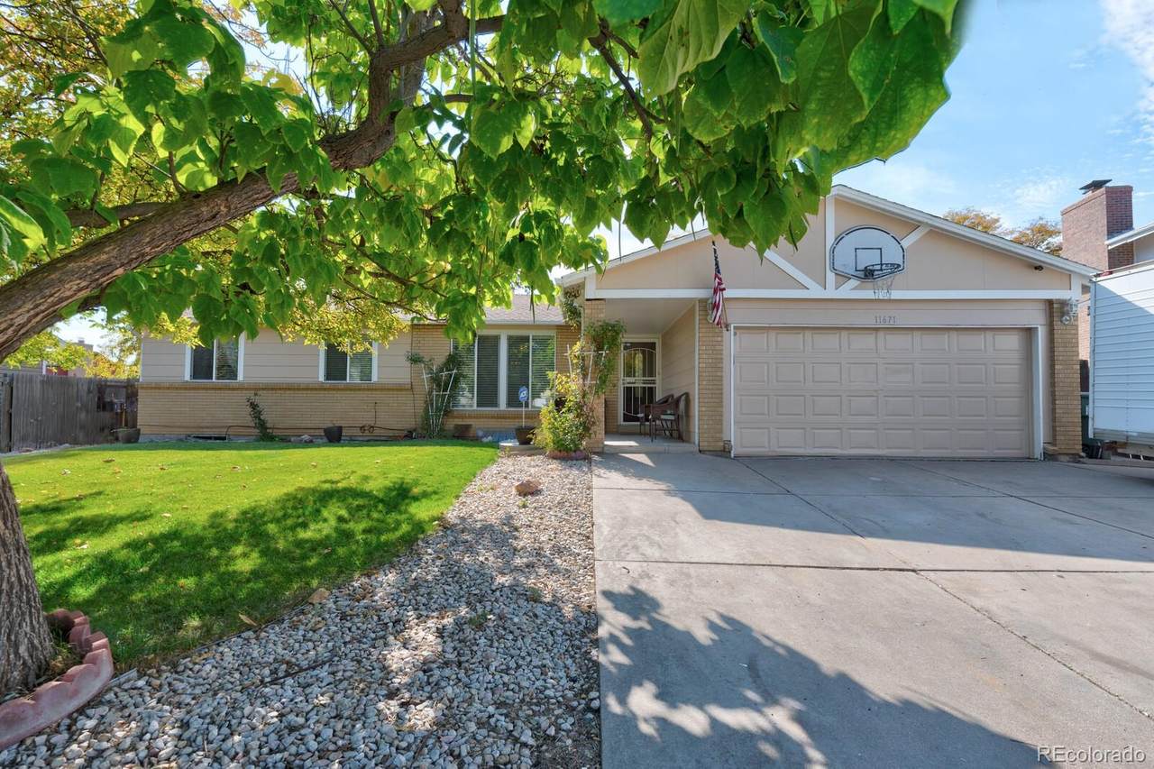 11671 Jackson Street - Photo 1