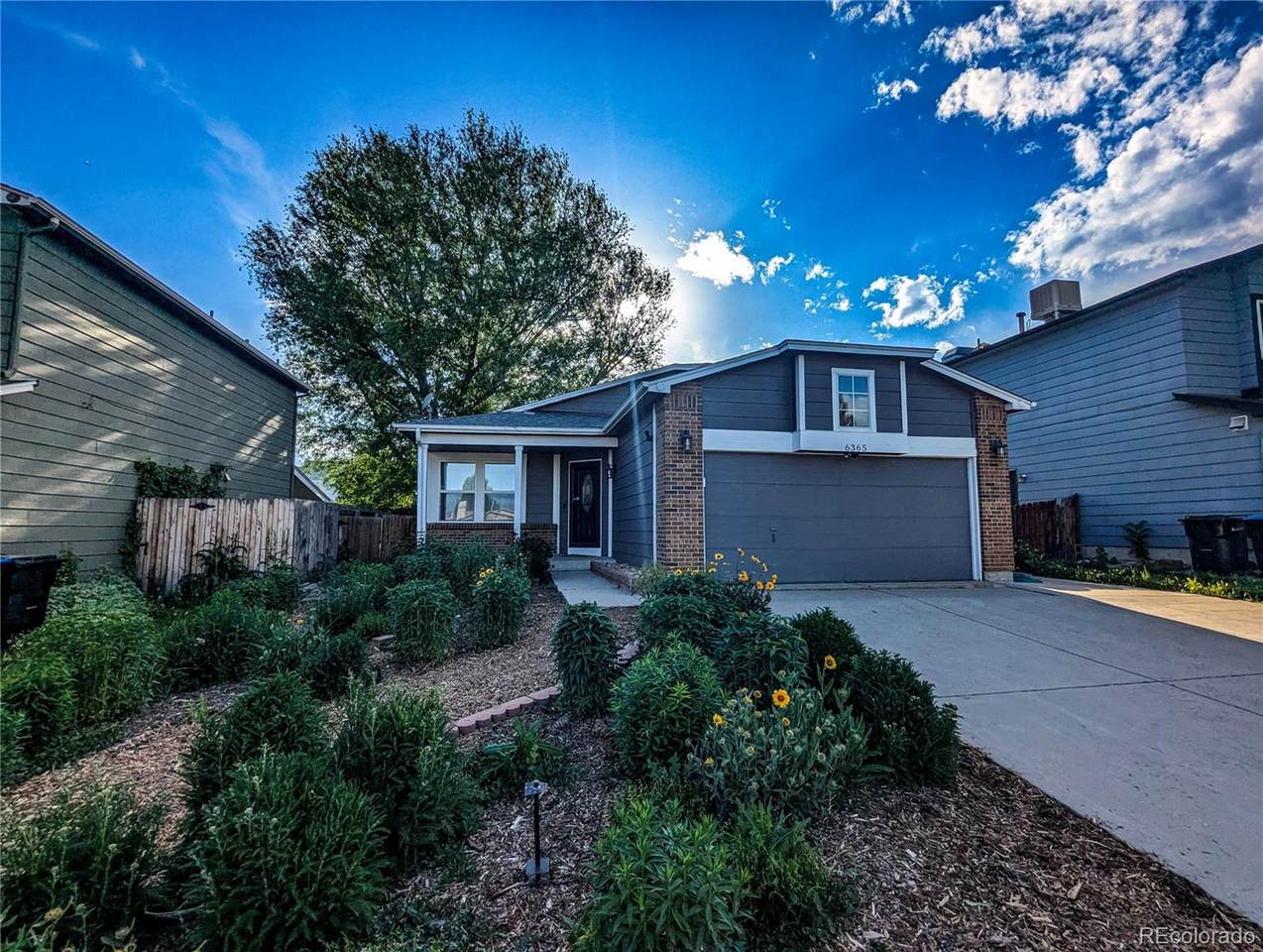 6365 Xavier Court - Photo 1
