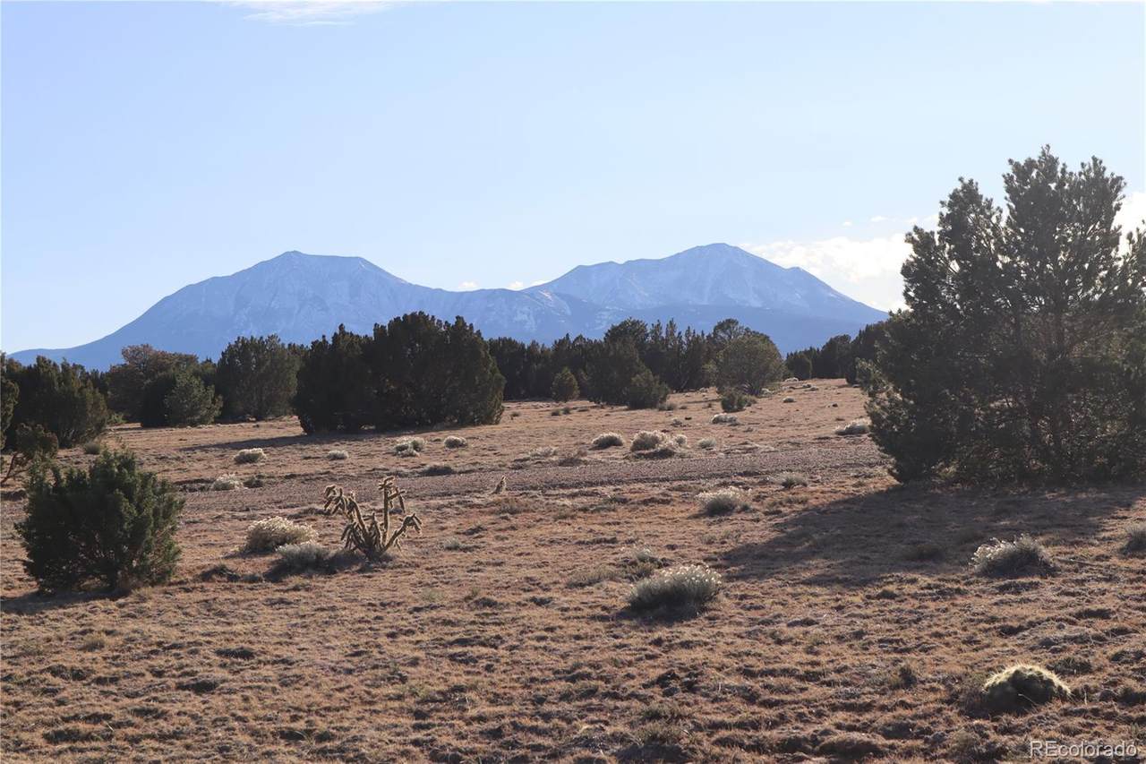 Bear Ridge Road - Photo 1