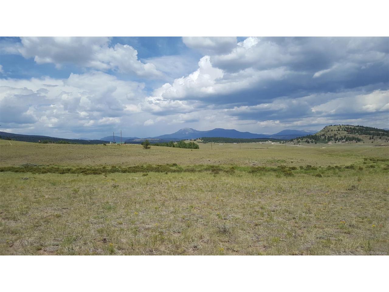 691 Saddle Horn Road, Hartsel, CO 80449 (MLS #3264540) :: 8z Real Estate