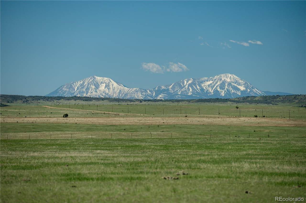 000 Wolfenberger Road - Photo 1