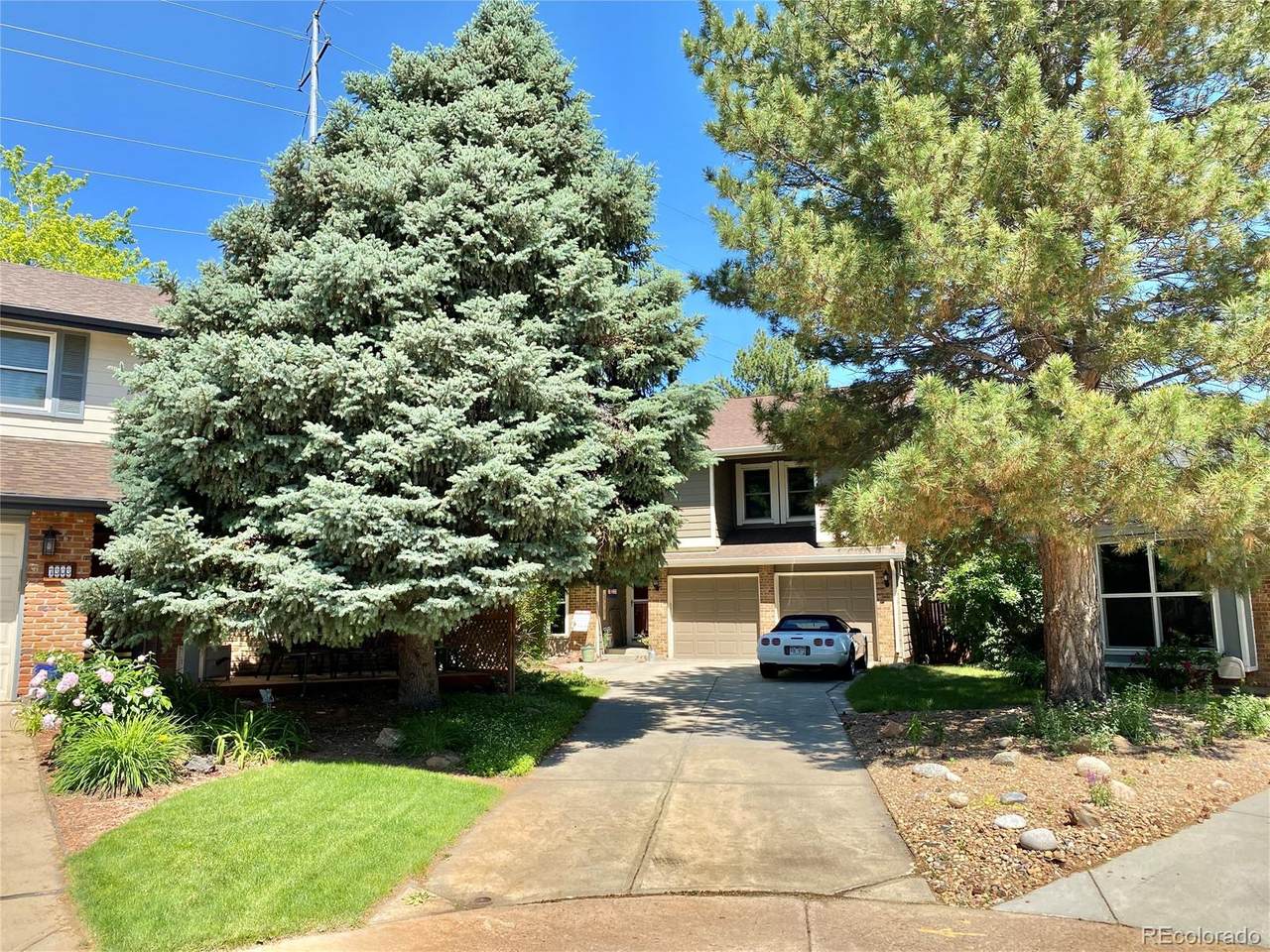 7323 Mineral Place - Photo 1